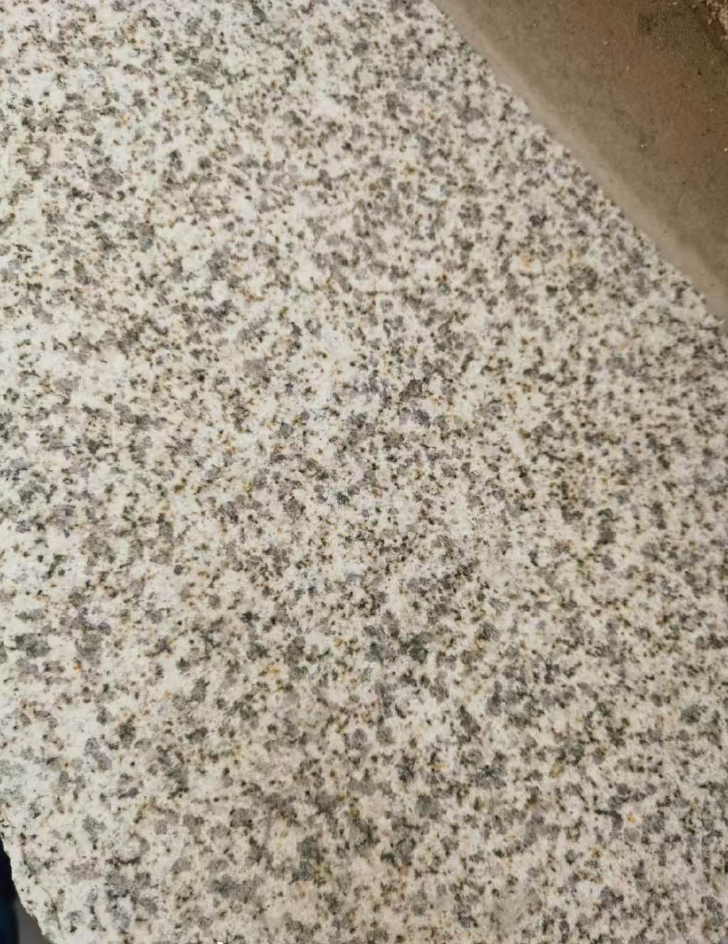 哈尔滨 黄金麻中黄光面