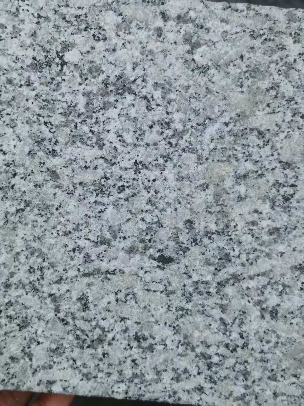 哈尔滨 芙蓉白火烧面